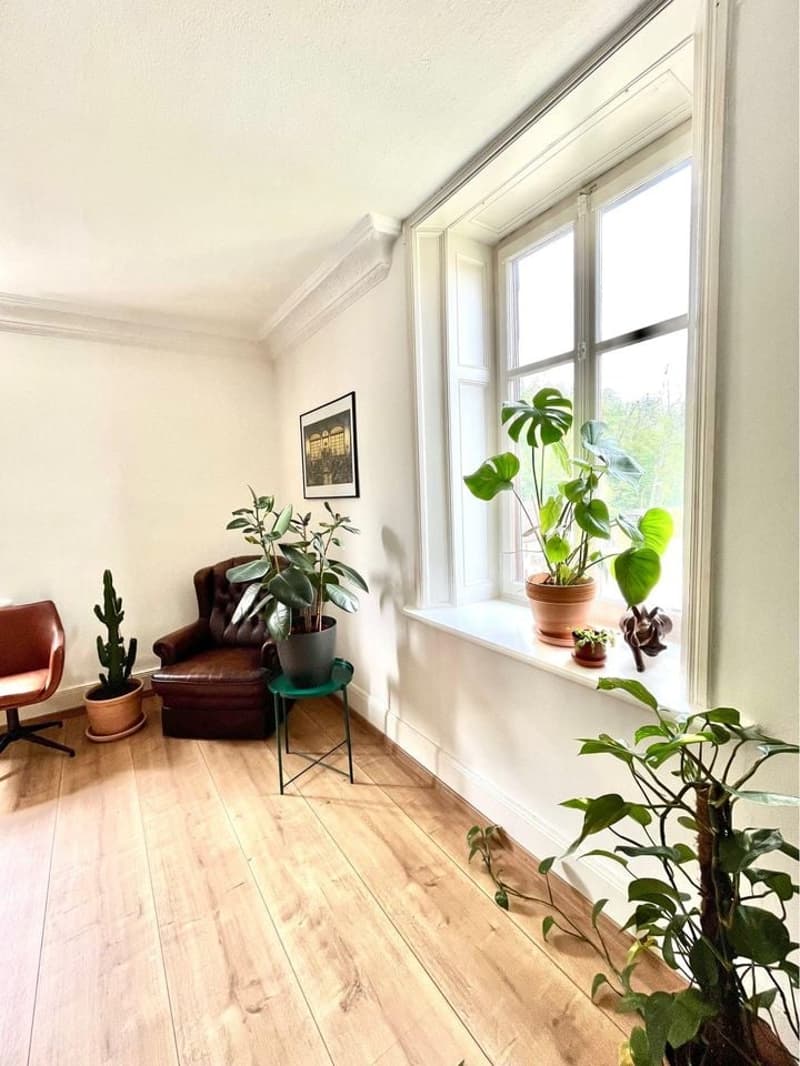 Light wood floor, brown leather armchair, green table, potted plants, framed photo, window with sill and large glass panes, additional potted plants on the sill