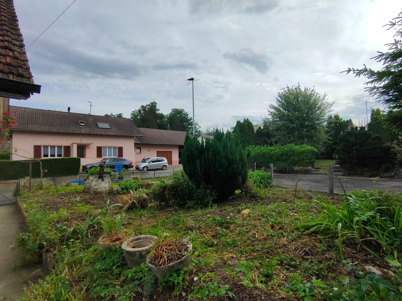 The image shows a residential area with a few houses, a paved driveway, and some parked cars. The houses have red tile roofs and there are various trees and shrubs around the area. The ground appears to be overgrown with vegetation, suggesting a garden or