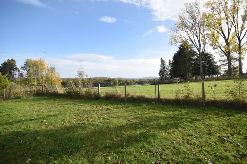 large green field, wooden fence, trees, mountains in the distance