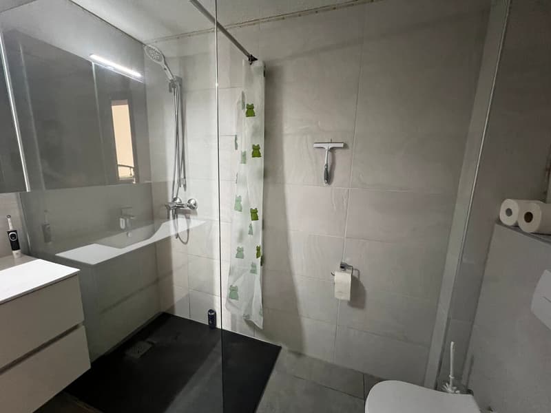 Deux immeubles de rendement à Courgenay (5)