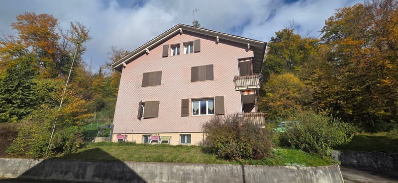 Immeuble de rendement avec 3 appartements et surface verte de 1'400m2 (12)
