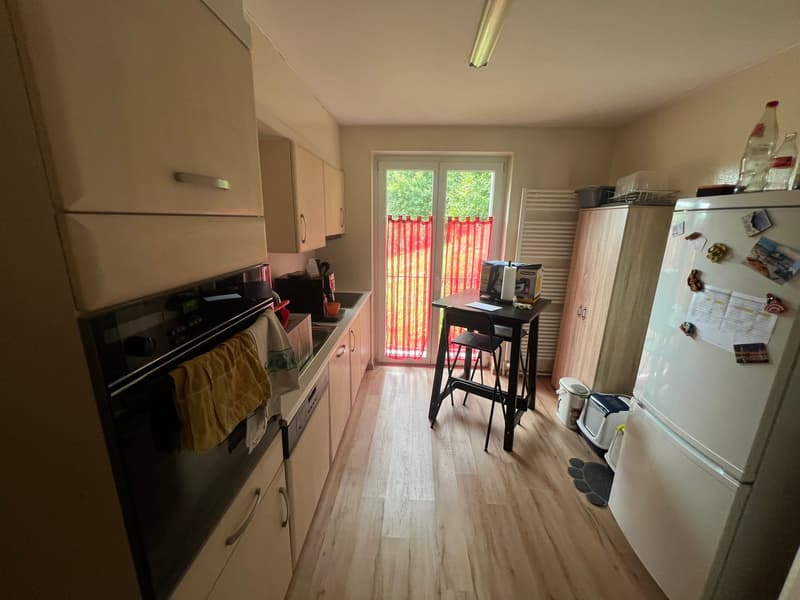 Immeuble de rendement avec 3 appartements et surface verte de 1'400m2 (8)