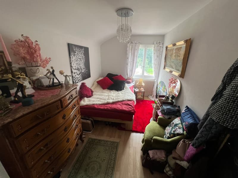 Immeuble de rendement avec 3 appartements et surface verte de 1'400m2 (2)