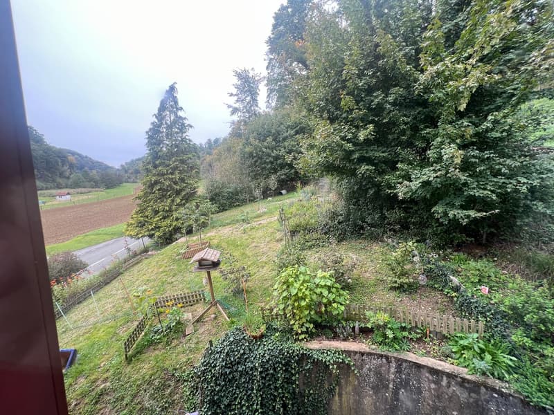 Immeuble de rendement avec 3 appartements et surface verte de 1'400m2 (11)