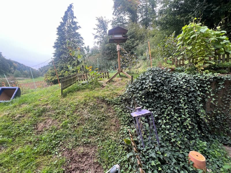 Immeuble de rendement avec 3 appartements et surface verte de 1'400m2 (10)