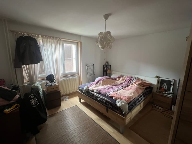 Immeuble de rendement avec 3 appartements et surface verte de 1'400m2 (5)