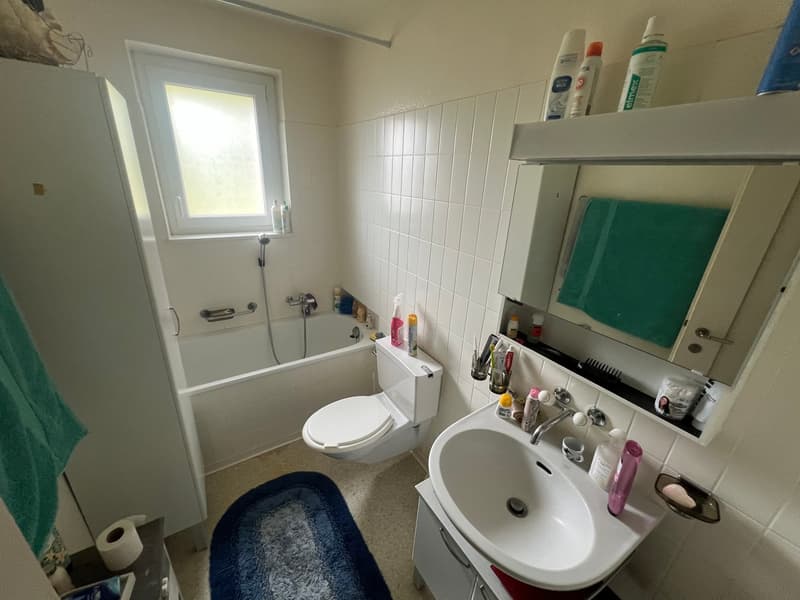 Immeuble de rendement avec 3 appartements et surface verte de 1'400m2 (4)