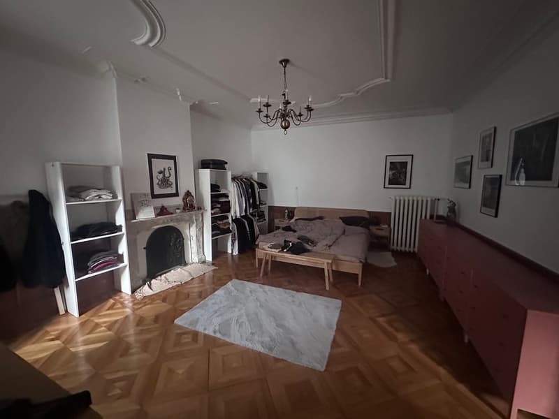 A louer magnifique appartement 5.5 pièces (5)