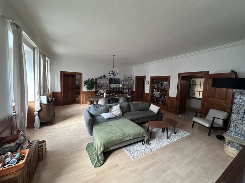 A louer magnifique appartement 5.5 pièces (3)