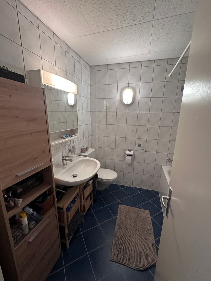 A louer magnifique appartement 5.5 pièces (16)
