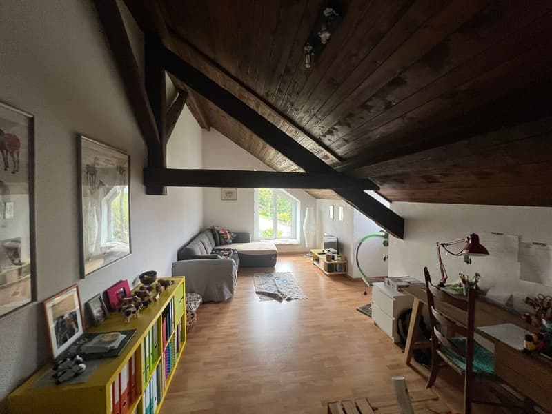Immeuble de rendement entièrement loué (3)