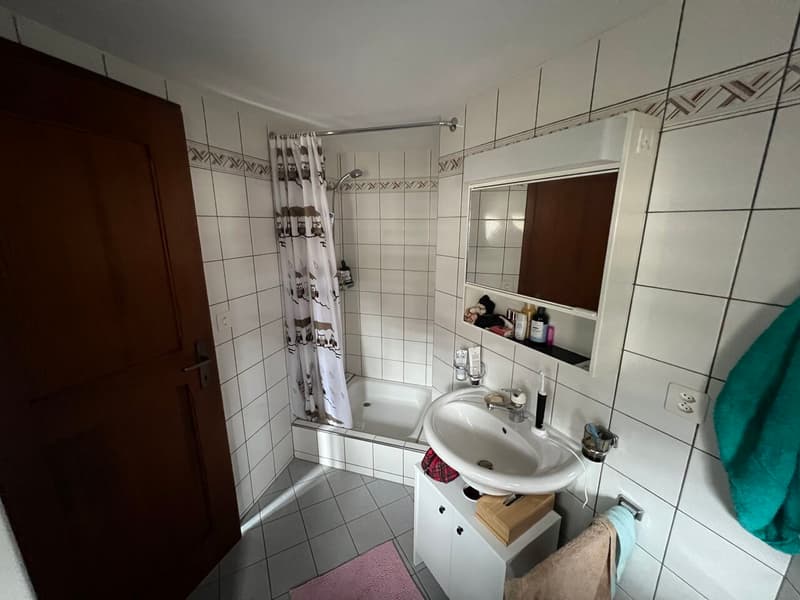 Immeuble de rendement entièrement loué (12)