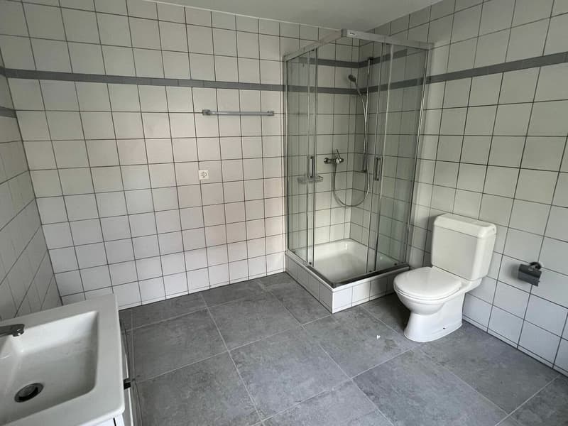 Immeuble de rendement avec parcelle constructible d'environ 550 m2 (13)