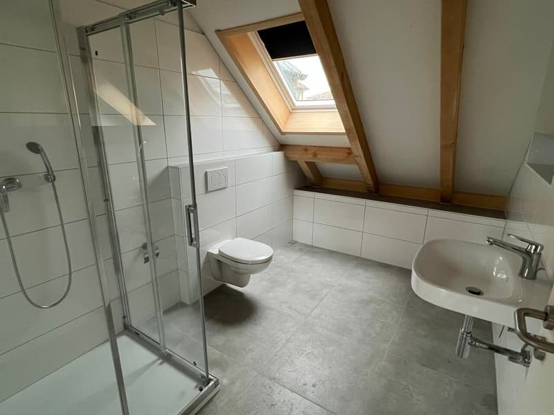 Immeuble de rendement avec parcelle constructible d'environ 550 m2 (6)