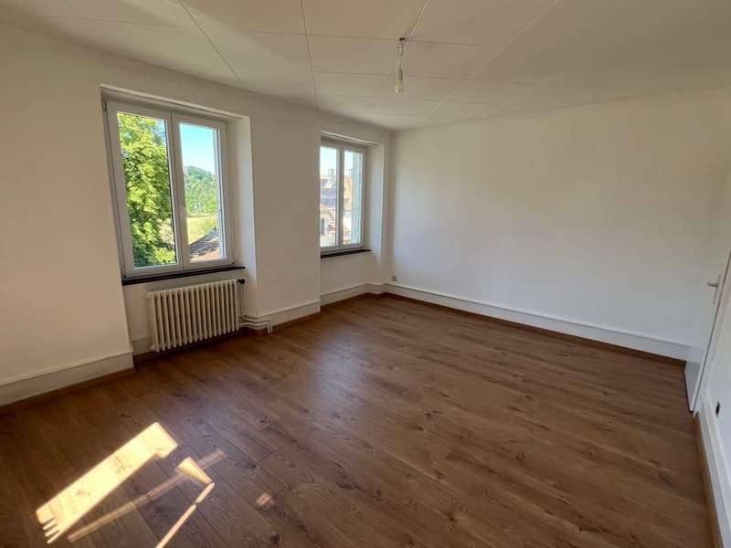 Charmante maison villageoise rénovée avec goût et en bordure de forêt (5)
