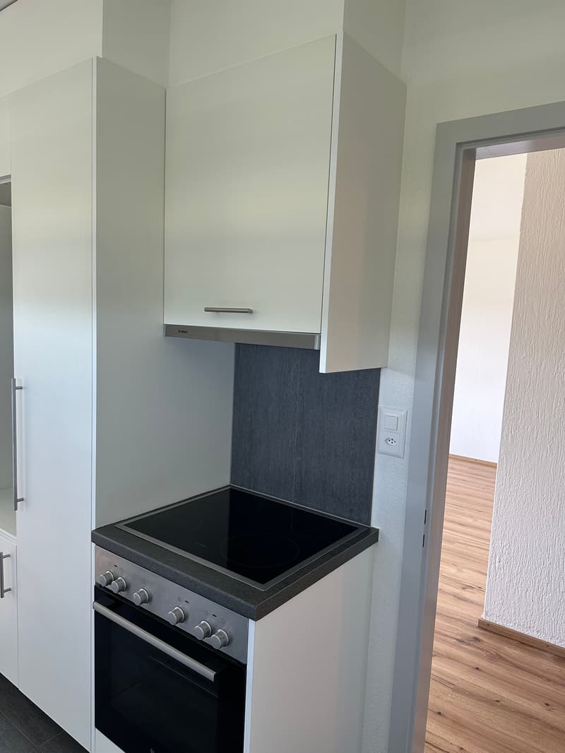 Très bel appartement rénové en 2022 à louer à Boncourt (7)