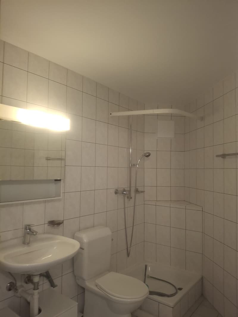 Appartement 3.5 pièces rénové à louer à Enney (9)