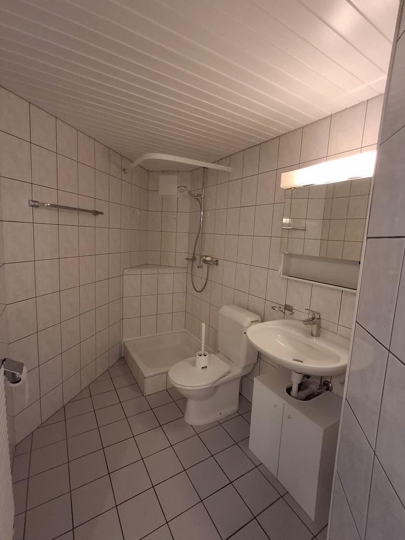 Appartement 3.5 pièces rénové à louer à Enney (6)