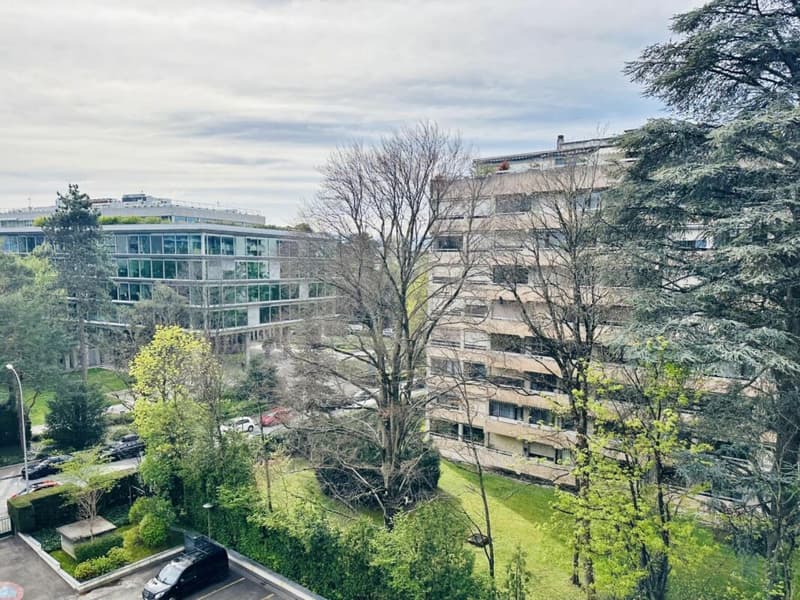 Appartement 7 pièces à Genève (18)
