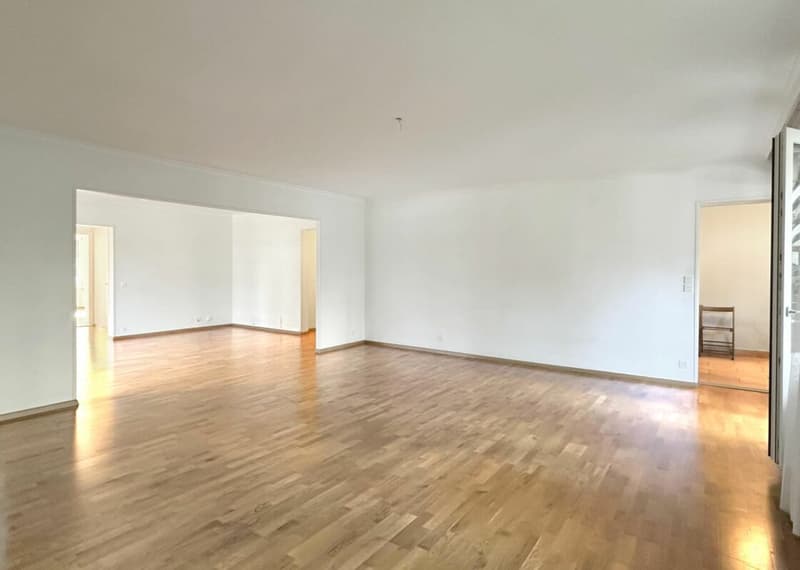 Opportunité d'investissement - Appartement 7 pièces à Genève (10)
