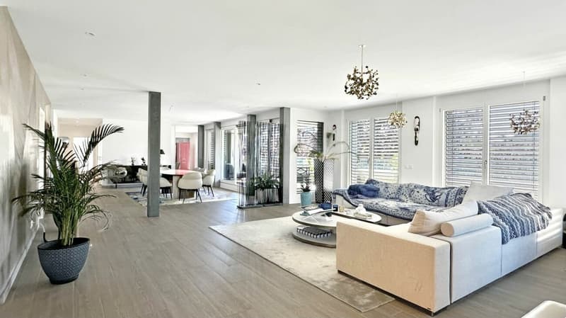 Magnifique appartement avec terrasse et vue au 5e étage (6)