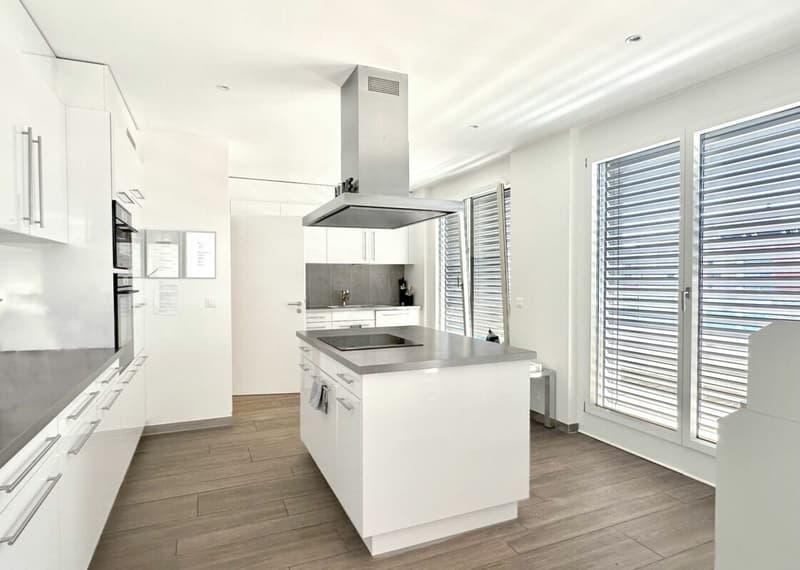 Magnifique appartement avec terrasse et vue au 5e étage (15)