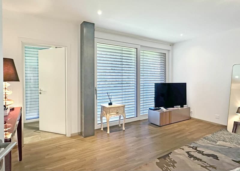 Magnifique appartement avec terrasse et vue au 5e étage (17)
