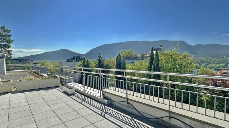 Bel appartement avec jardin à Champel (36)
