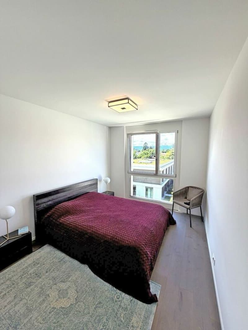 Appartement d'exception à louer - 4 pièces - Parc des Crêts (8)