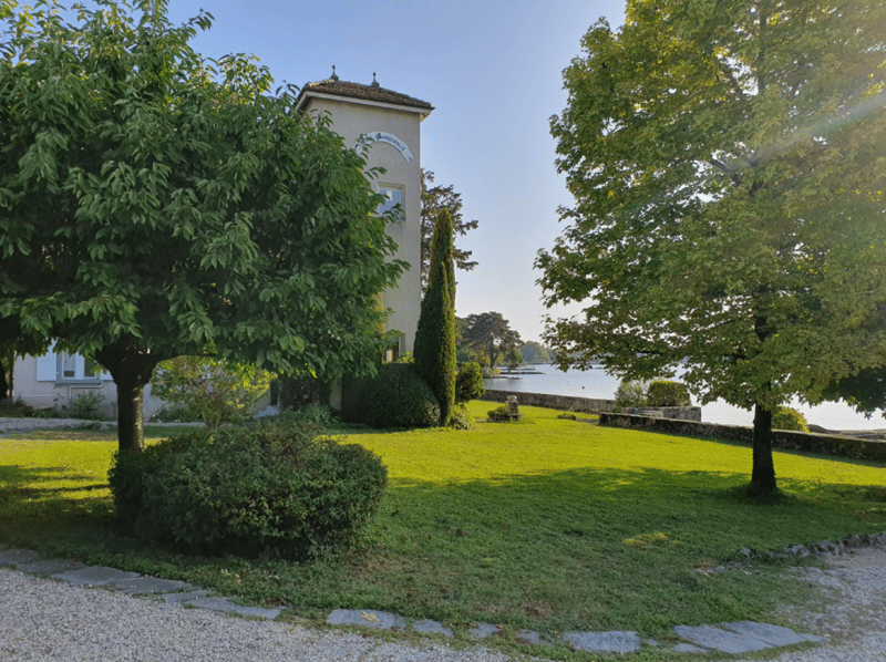 Pieds-dans-l'eau à Nyon (11)