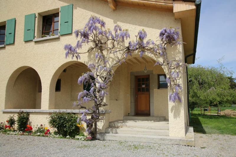 Appartement 5 pièces à Plan-les-Ouates - à Vendre (25)