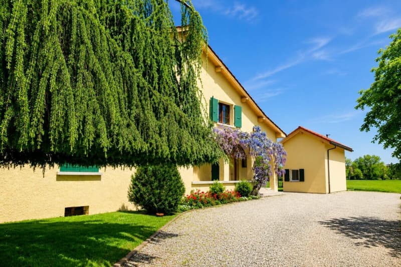 Vente de Charme : Appartement 5 pièces à Plan-les-Ouates (3)