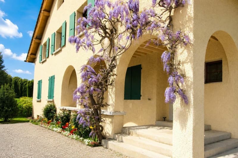 Vente de Charme : Appartement 5 pièces à Plan-les-Ouates (1)