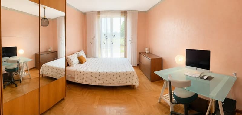 Chambre à louer à Genève - location 6 mois minimum (1)