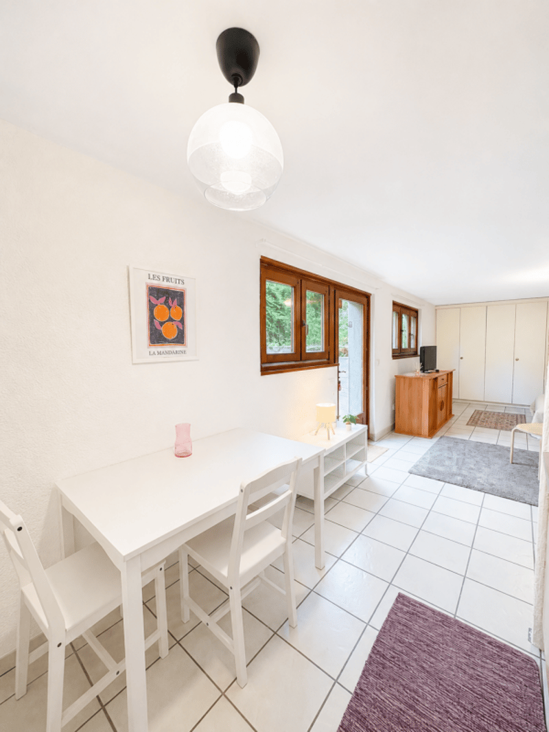 Charmant studio meublé à Chêne-Bourg (4)
