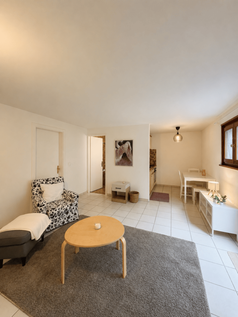Charmant studio meublé à Chêne-Bourg (1)