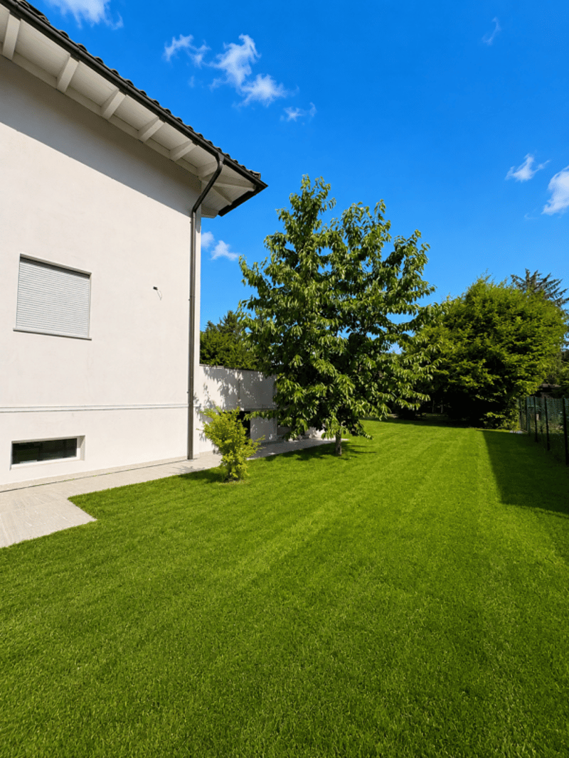 Elegante & Spaciesue Villa de 7 pièces à Chambésy (10)