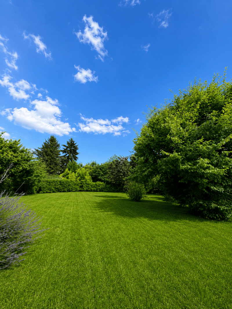 Elegante & Spaciesue Villa de 7 pièces à Chambésy (9)