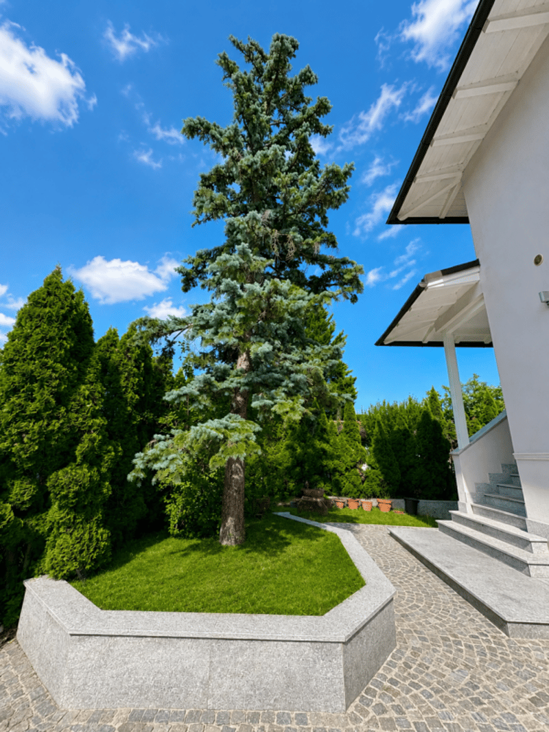 Elegante & Spaciesue Villa de 7 pièces à Chambésy (5)