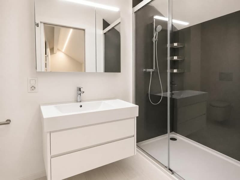 Tiny House à Plan-les-Ouates (11)
