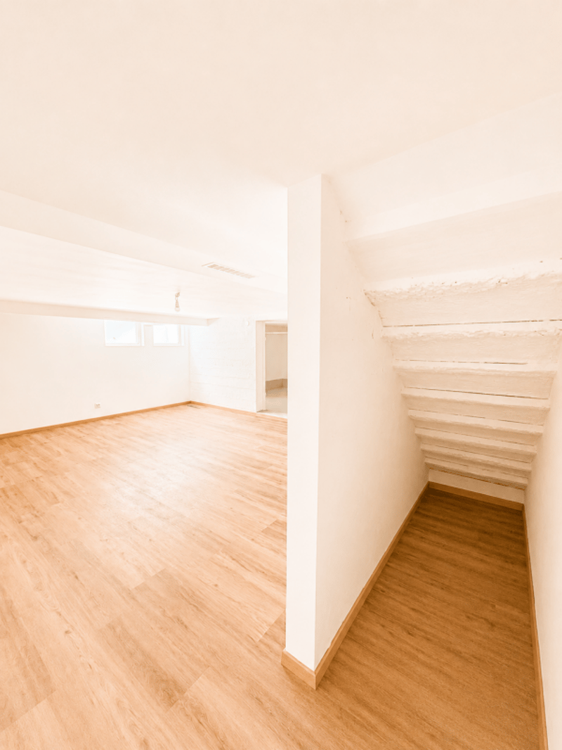 Belle maison individuelle familiale de 220 m² à Thônex (35)