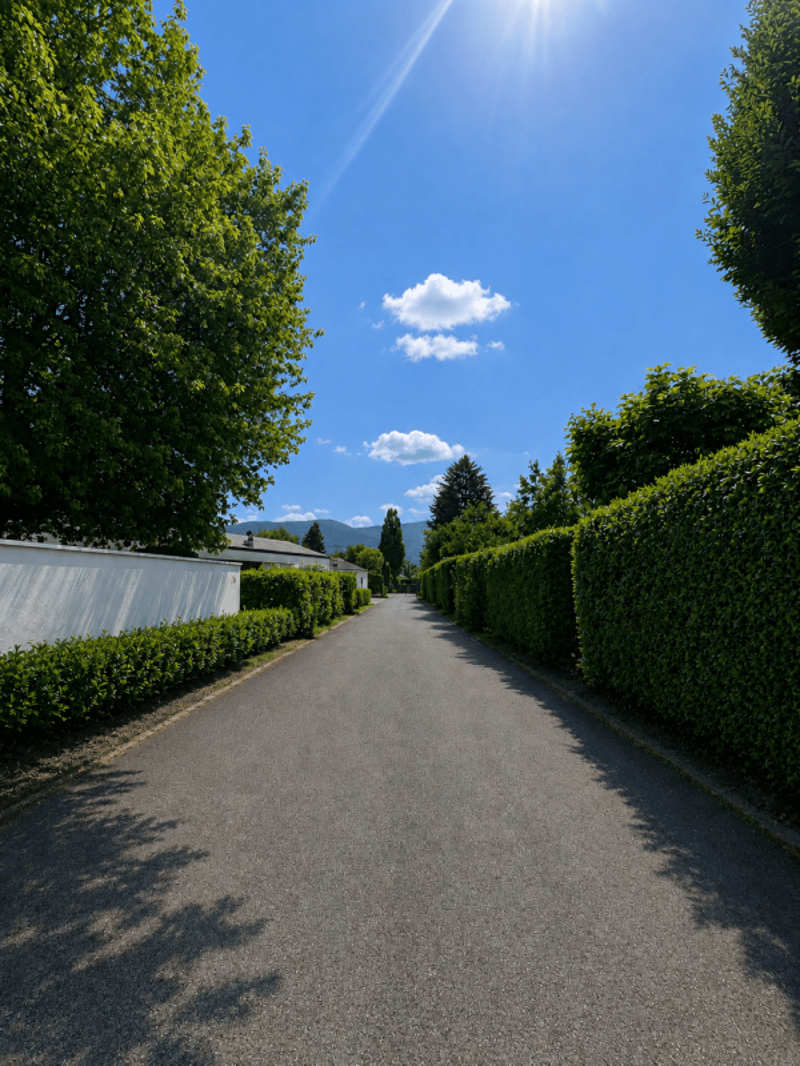 Belle maison individuelle familiale de 220 m² à Thônex (9)