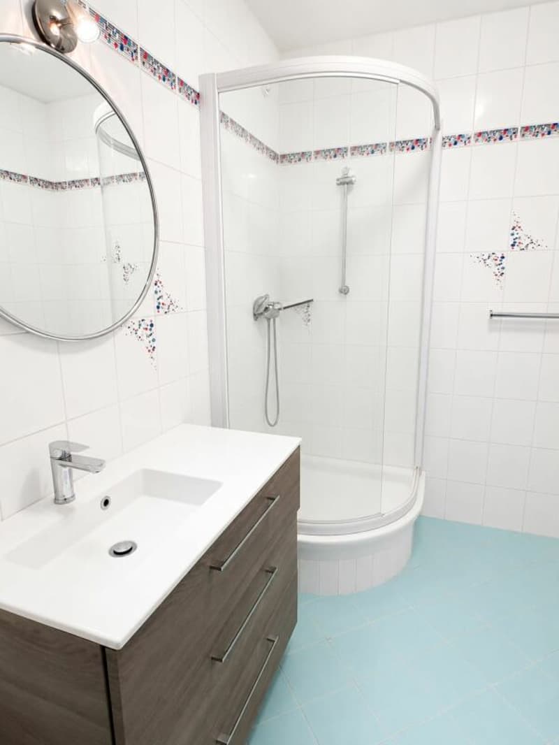 Chambre à louer à Genève - location 6 mois minimum (4)
