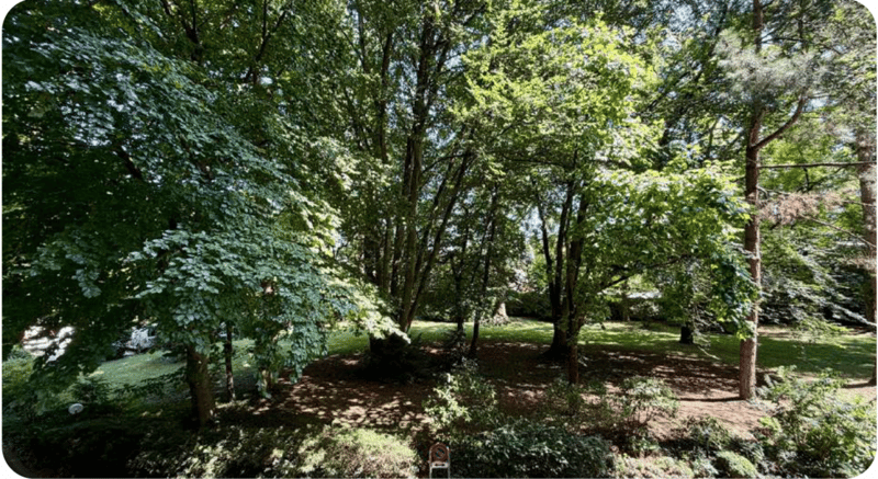 Bel studio meublé dans la résidence Cologny Parc (15)