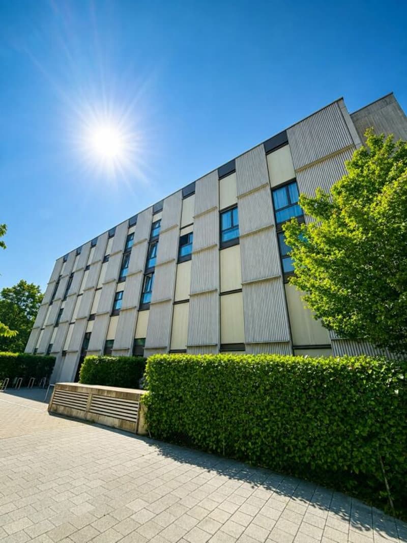 Bel appartement meublé - 100m2 (16)