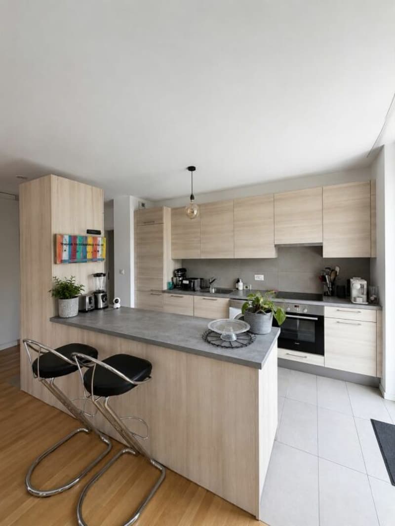 Bel appartement meublé - 100m2 (4)
