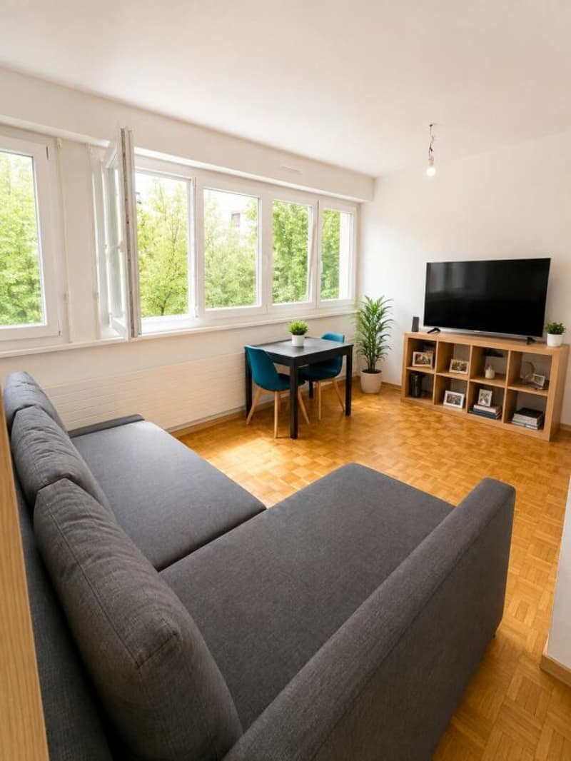 LEASE TAKEOVER - 2 room apartment well situated in Acacias (2)
