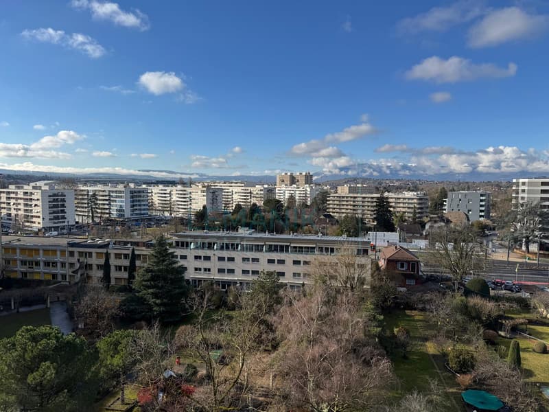 Rare sur le secteur : Spacieux appartement lumineux avec terrasse à quelques minutes du centre-ville (5)