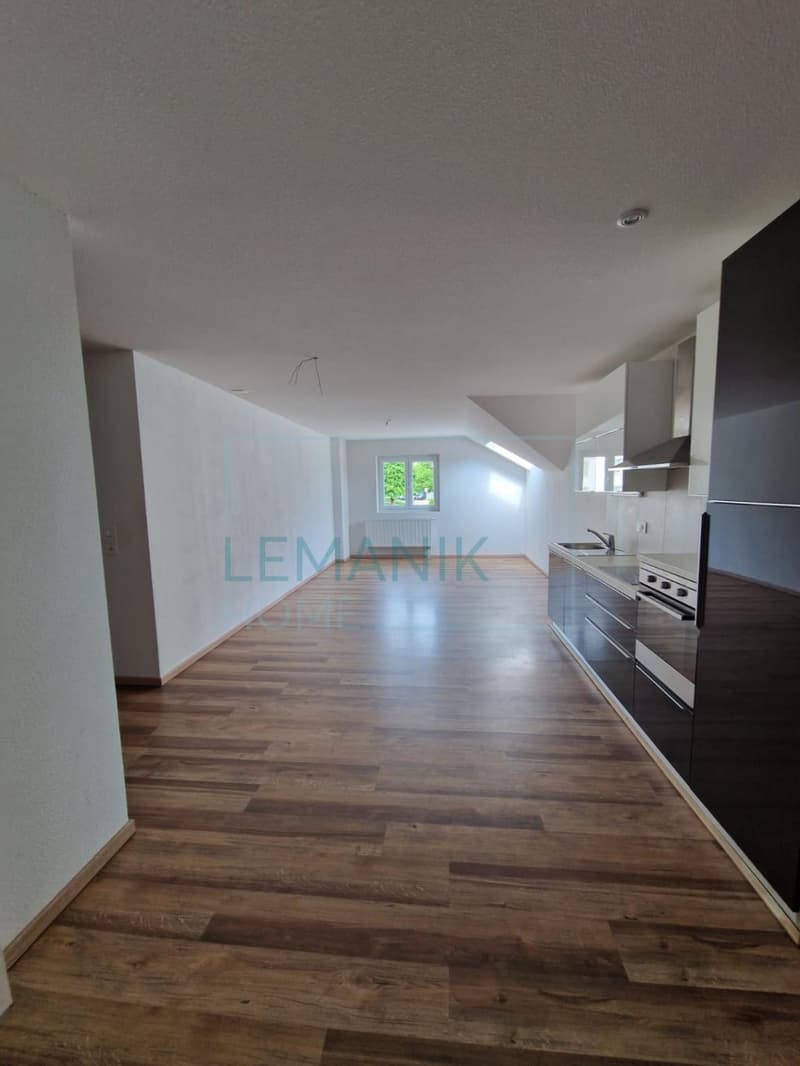 Magnifique appartement 4,5 pièces entièrement rénové (1)