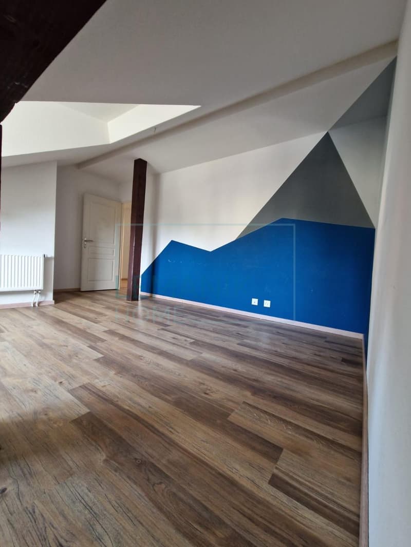 Magnifique appartement 4,5 pièces entièrement rénové (2)
